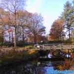 efteling-17-11-2021-082.jpg