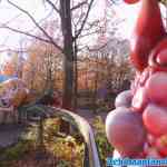 efteling-17-11-2021-124.jpg