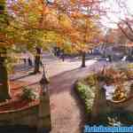 efteling-17-11-2021-127.jpg