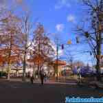 efteling-17-11-2021-130.jpg