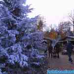 efteling-17-11-2021-137.jpg