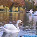 efteling-17-11-2021-191.jpg