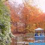 efteling-17-11-2021-201.jpg