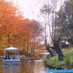 efteling-17-11-2021-202.jpg