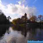 efteling-17-11-2021-223.jpg