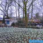 efteling-18-12-2021-095.jpg