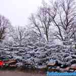 efteling-26-12-2019-086.jpg