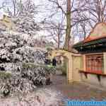 efteling-28-12-2019-018.jpg