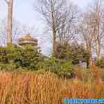 efteling-28-12-2019-061.jpg