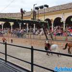 europa-park-27-07-2023-349.jpg