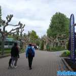 europa-park-03-05-2024-366.jpg