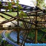 alton-towers-20-10-2018-0099.jpg