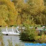 lightwater-valley-21-10-2018-0263.jpg