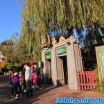 chessington-18-10-2019-026.jpg