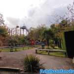 chessington-18-10-2019-151.jpg