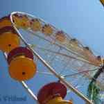 img-0155.jpg