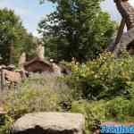 toverland-23-06-2024-113.jpg