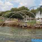 toverland-23-06-2024-132.jpg