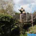 toverland-23-06-2024-153.jpg