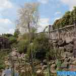 toverland-23-06-2024-167.jpg