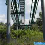 toverland-23-06-2024-176.jpg