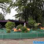 waarbeek-01-06-2024-085.jpg