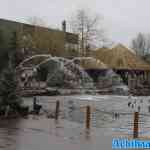 toverland-15-12-2024-114.jpg