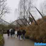 toverland-15-12-2024-157.jpg