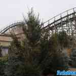 toverland-15-12-2024-202.jpg