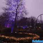 toverland-15-12-2024-307.jpg