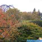 walibi-holland-25-10-2021-161.jpg