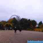 walibi-holland-25-10-2021-321.jpg