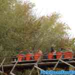 walibi-25-10-2018-0092.jpg