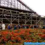 walibi-25-10-2018-0099.jpg