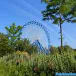 walibi-06-06-2018-0019.jpg