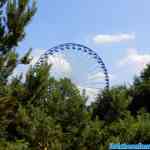 walibi-06-06-2018-0159.jpg