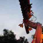 img-1791.jpg
