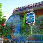 img-1776.jpg