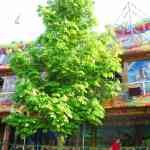 img-1783.jpg