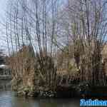 efteling-16-02-2025-094.jpg