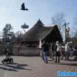 efteling-16-02-2025-129.jpg