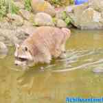 blijdorp-09-09-2020-116.jpg