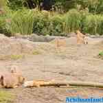 blijdorp-09-09-2020-146.jpg