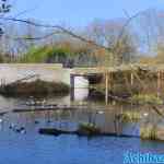 blijdorp-12-02-2022-133.jpg