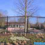 blijdorp-12-02-2022-215.jpg