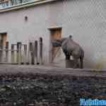 blijdorp-02-12-2022-007.jpg