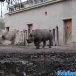 blijdorp-02-12-2022-009.jpg