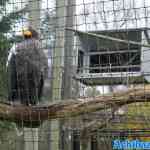 blijdorp-02-12-2022-134.jpg