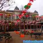 antwerpen-zoo-24-11-2018-0009.jpg