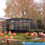 antwerpen-zoo-24-11-2018-0012.jpg